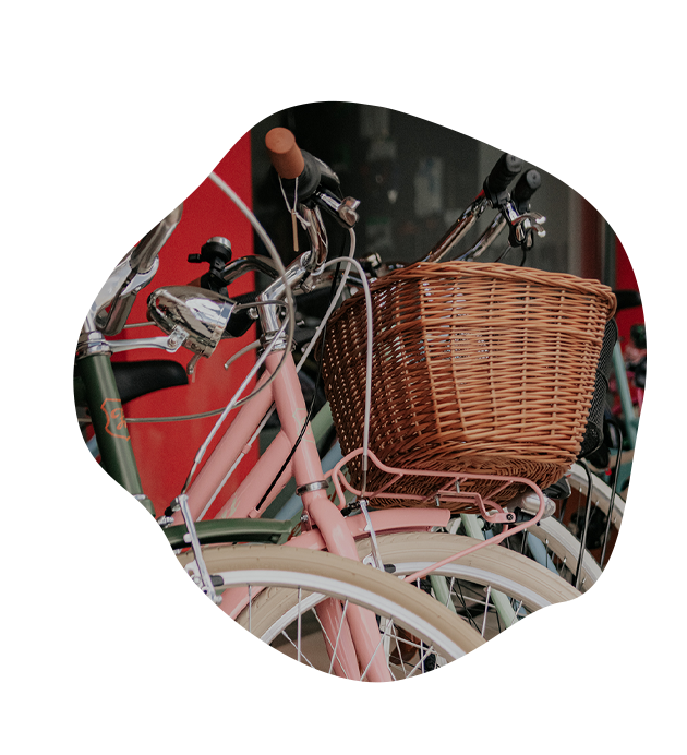 biciclette donna